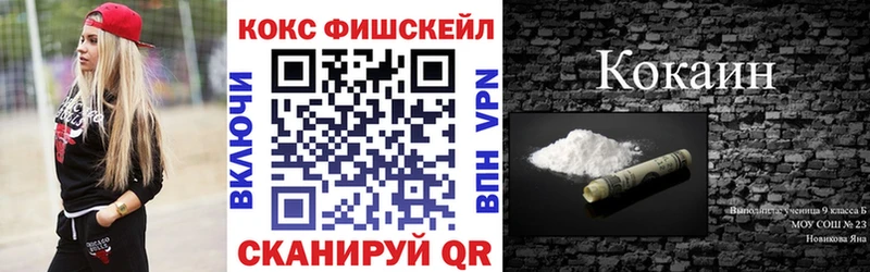 Кокаин Fish Scale  Купить закладки  Лермонтов 
