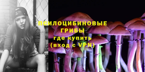 спиды Коряжма