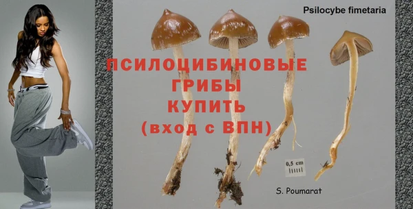 спиды Коряжма