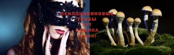 спиды Коряжма