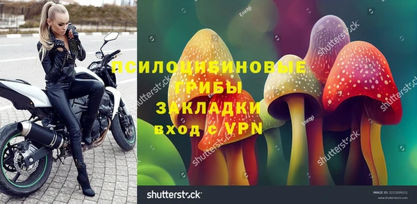 a pvp Костерёво