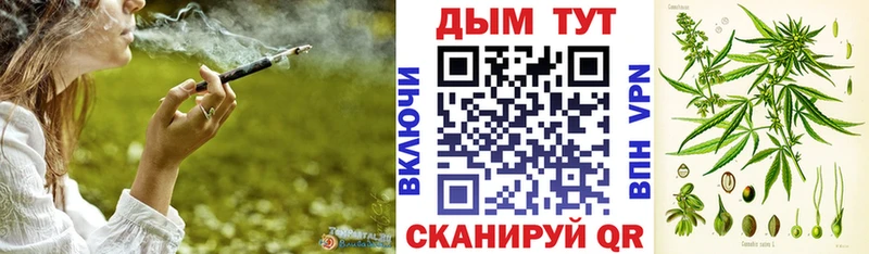 Купить закладки  Лермонтов  Бошки марихуана White Widow 